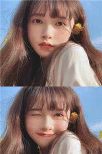 知意成书