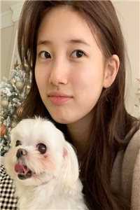 八零硬汉太狂野，绿茶美人真好命易楠贺云庭最新章节