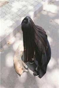 驭兽师丈夫，非要娶妹妹进门
