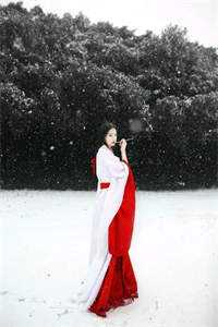 重生之嫡女复仇风云