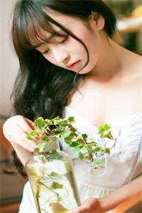 桃色仕途小说陈斌高婉君