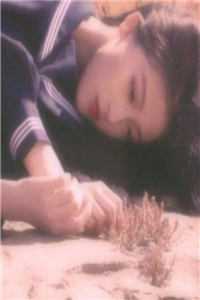 故城的风,吹不散的殇