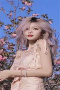 魔法少女艾丽西亚的城市之光