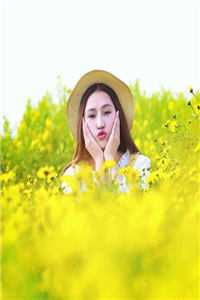 何来人间惊鸿客