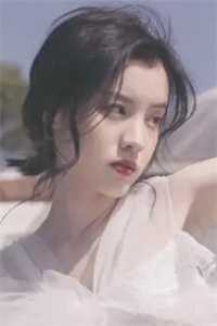 穿越魔法大陆的兄弟情