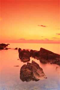 朝来寒雨几回眸段淮安江挽月完结文