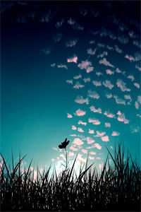 太子妃是小青梅