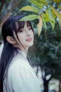 陛下小心！钓系美人又装小白兔了全文