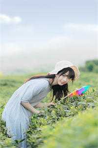 阮羡好沈鄞川才知相思到如今小说