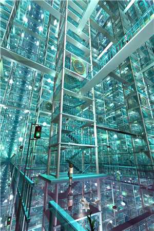 重生后，选择跟妈妈的弟弟哭惨了抖音热门全文