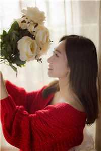 风起时归落时离小说顾羡之宋婉晴