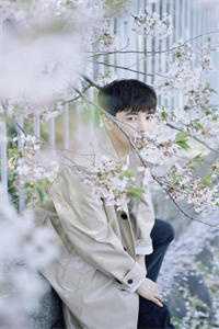 风起时归落时离小说顾羡之宋婉晴