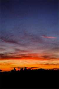 嫡妹用死胎换走了我的孩子抖音热门结局+番外小说