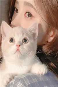 姐姐发病后，父母疯狂弥补我前文+番外