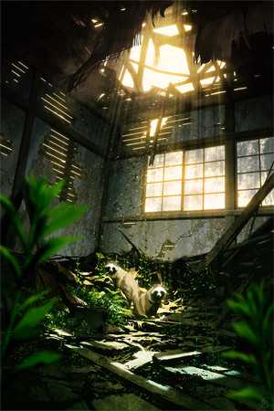 我在末世改头换面周野周队无删减+无广告