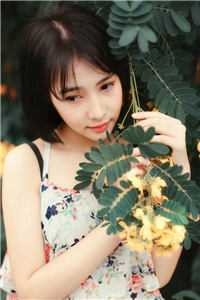 萤火吻痕全文+结局+番外