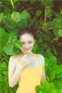 娶了美女总裁后，我的人生开挂了宋远顾时语全章节免费阅读