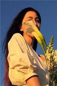 虚拟爱人后续+番外