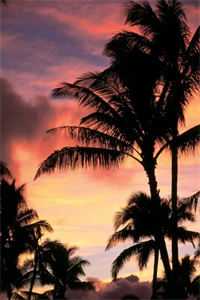 女二觉醒之后,踹掉凤凰男后续+完结