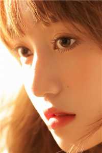 爱如昙花谢小说肖峰刘美珊完结版