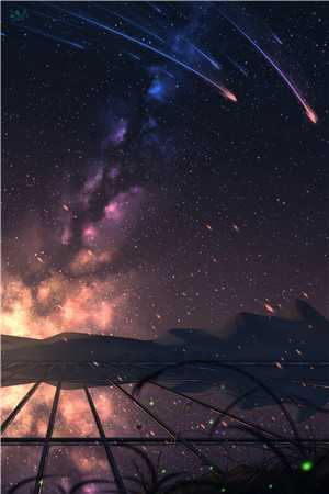 爱如昙花谢小说肖峰刘美珊完结版