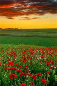 尉池雪周淮回首向来萧瑟处小说全文免费阅读