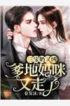 雷伊阿塔里纳末日欺骗，无人生还小说全文免费阅读