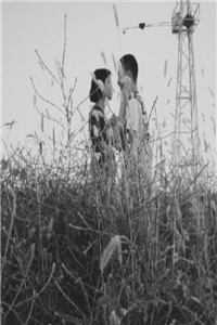 逐光同行全文+番外