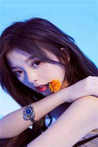 此生再难共白头小说全文免费阅读