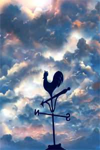 沈明轩傅晚晴写的小说爱恨昭昭,聚散皆随风