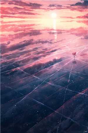 我们互为致命光合作用林晚热门:全本+番外+后续