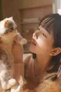 沈妍菱祝睦辰的小说黄昏前诀别小说阅读