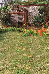 未婚夫帮真千金引流，害我丧命直播间结局+番外+完结