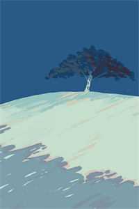 月光不染:前文+后续