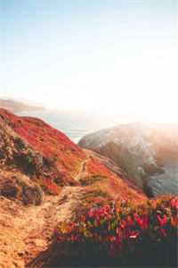 雨落潮汐巷小说全文免费阅读秦臻林意