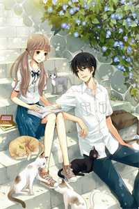 换脸断情罗晖童婉容番外+无删减版
