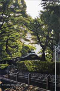 花野间宋安明斐祝:全章+后续
