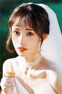 锁龙鸳鸯张子亮孔灵雀:前文+后续