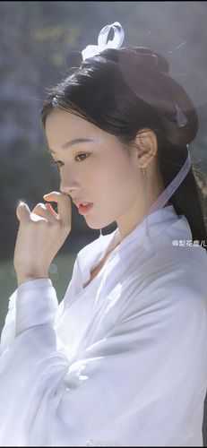 扶持新帝登基,我选择嫁给别人后续+完结