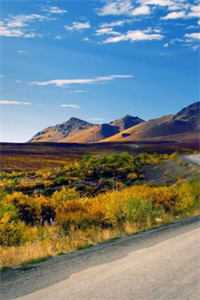 谁是赌注韩一飞谭思韵全本+番外+后续