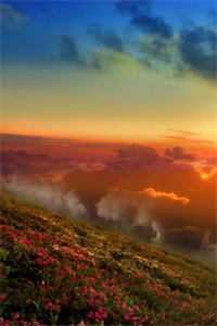 轮回黄昏恋林夕月猫咪(番外)+(结局)