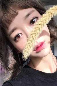 双生报复：两个老婆的终极陷阱:结局+番外