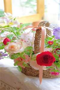 南川河秘闻:剑魄镇蛟录抖音热门结局+番外