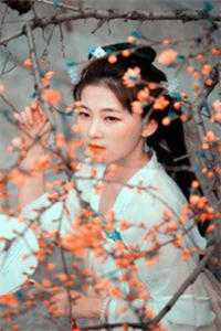 夺命风水局李耀叶婷婷