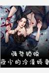 爱如流星无删减全文