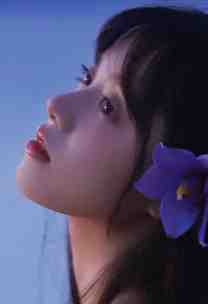 雁塔题名录白逸尘中宗:全文+后续+结局