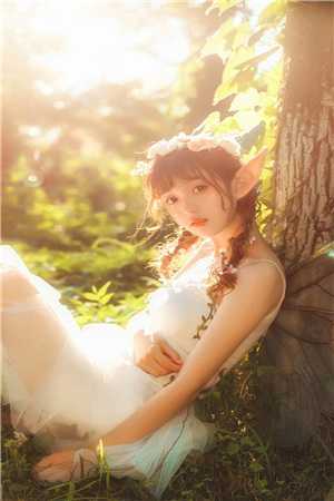 我生当如夏花般灿烂热门小说沈淮之周染