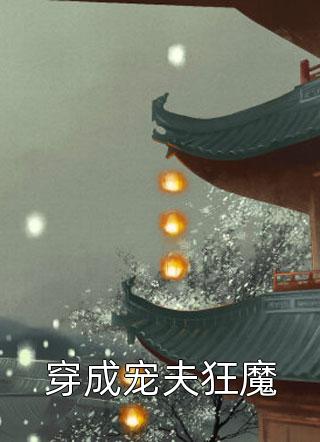一个炊事兵与资本的四次战争小说全文免费阅读