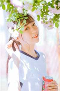 沈筝陆砚池的小说花非花雾非雾阅读