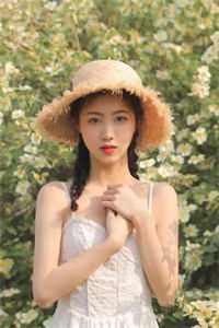 沈筝陆砚池的小说花非花雾非雾阅读